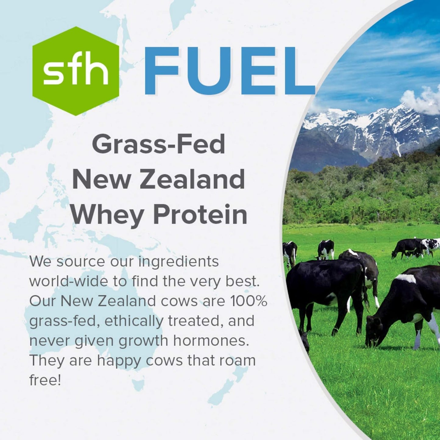 2lb Bag of SFH Fuel Whey Protein Powder - Grass Fed, Great Tasting, Energy-Boosting with MCTs & Fiber - All Natural, Soy & Gluten Free, No RBST, No Artificial Flavors - Coconut Flavor