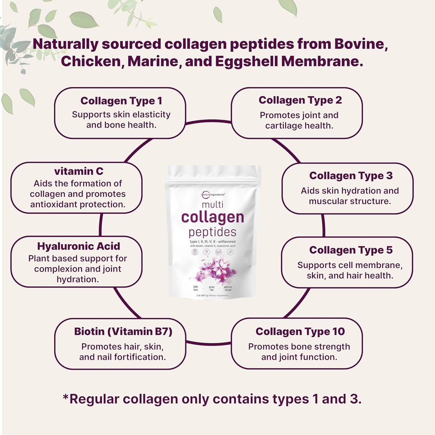 2lb Multi Collagen Protein Powder with Biotin, Hyaluronic Acid, Vitamin C - Hydrolyzed Peptides Type I,II,III,V,X - Unflavored - Keto & Paleo - Non-GMO - Easy Dissolve