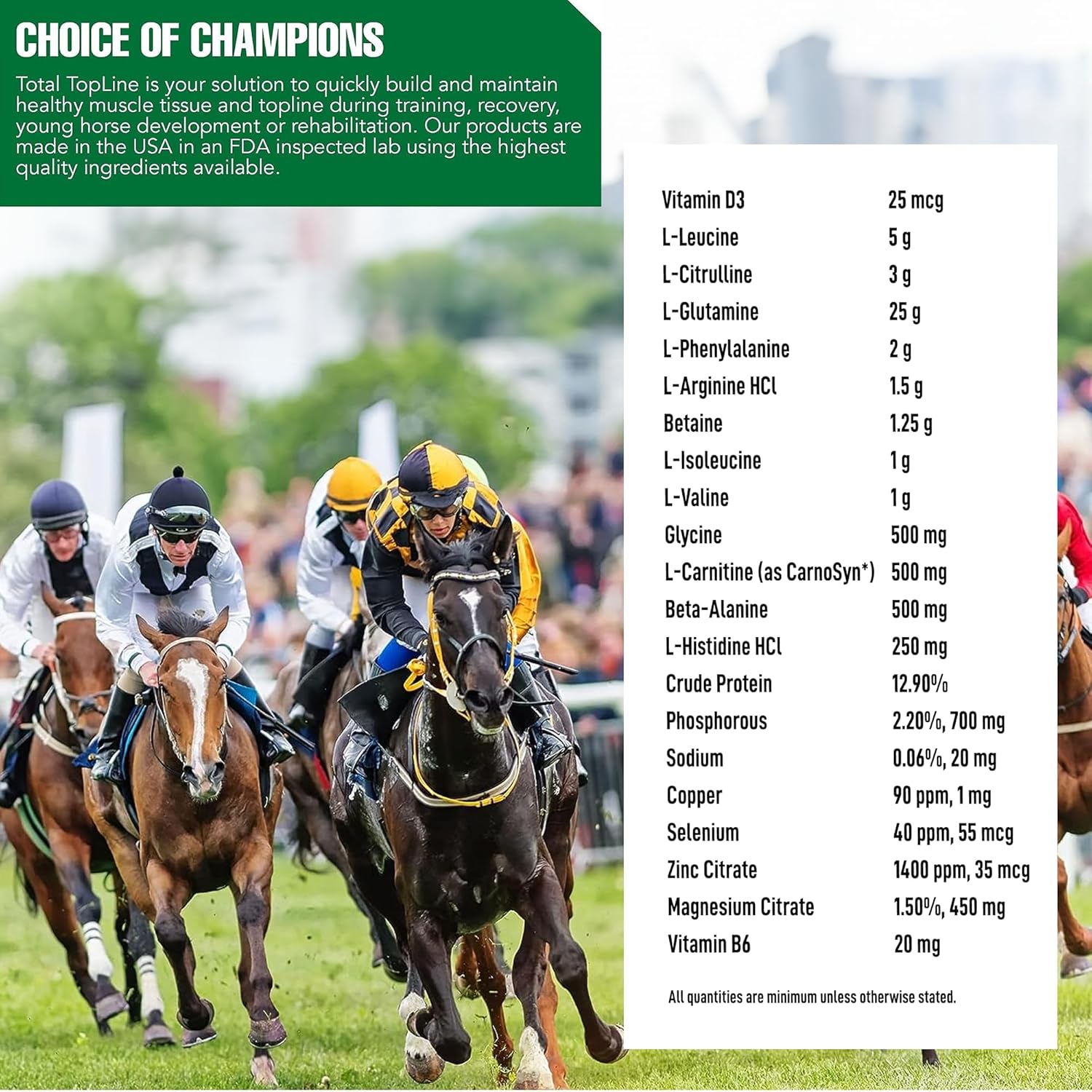 2lb Tub of Ramard Total Topline Powder Horse Supplement for Muscle Recovery & Growth - Protein & Amino Energy for Foals and Horses