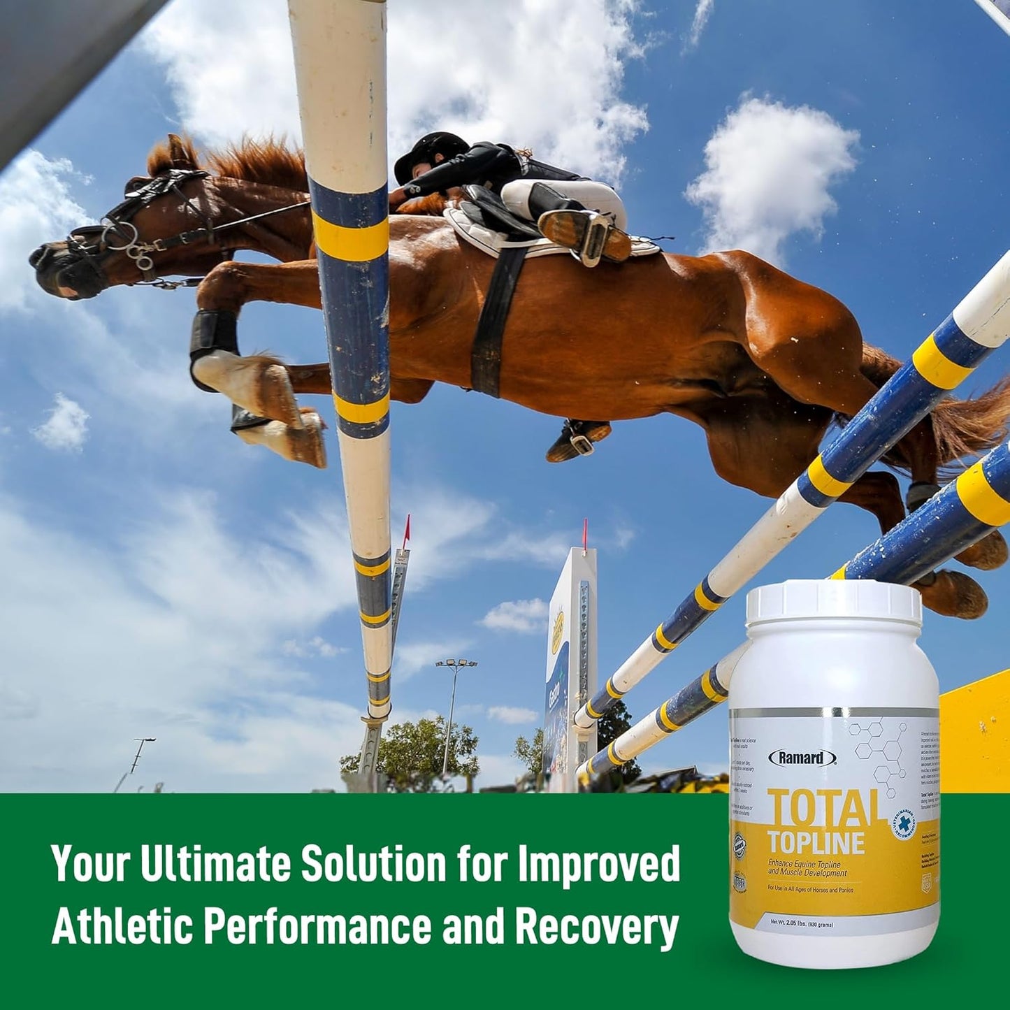 2lb Tub of Ramard Total Topline Powder Horse Supplement for Muscle Recovery & Growth - Protein & Amino Energy for Foals and Horses