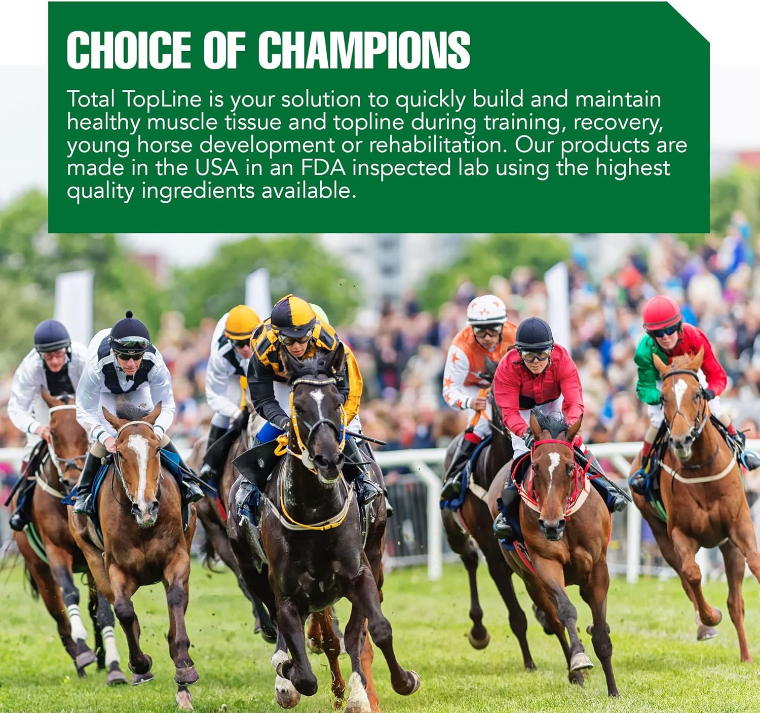 2lb Tub of Ramard Total Topline Powder Horse Supplement for Muscle Recovery & Growth - Protein & Amino Energy for Foals and Horses