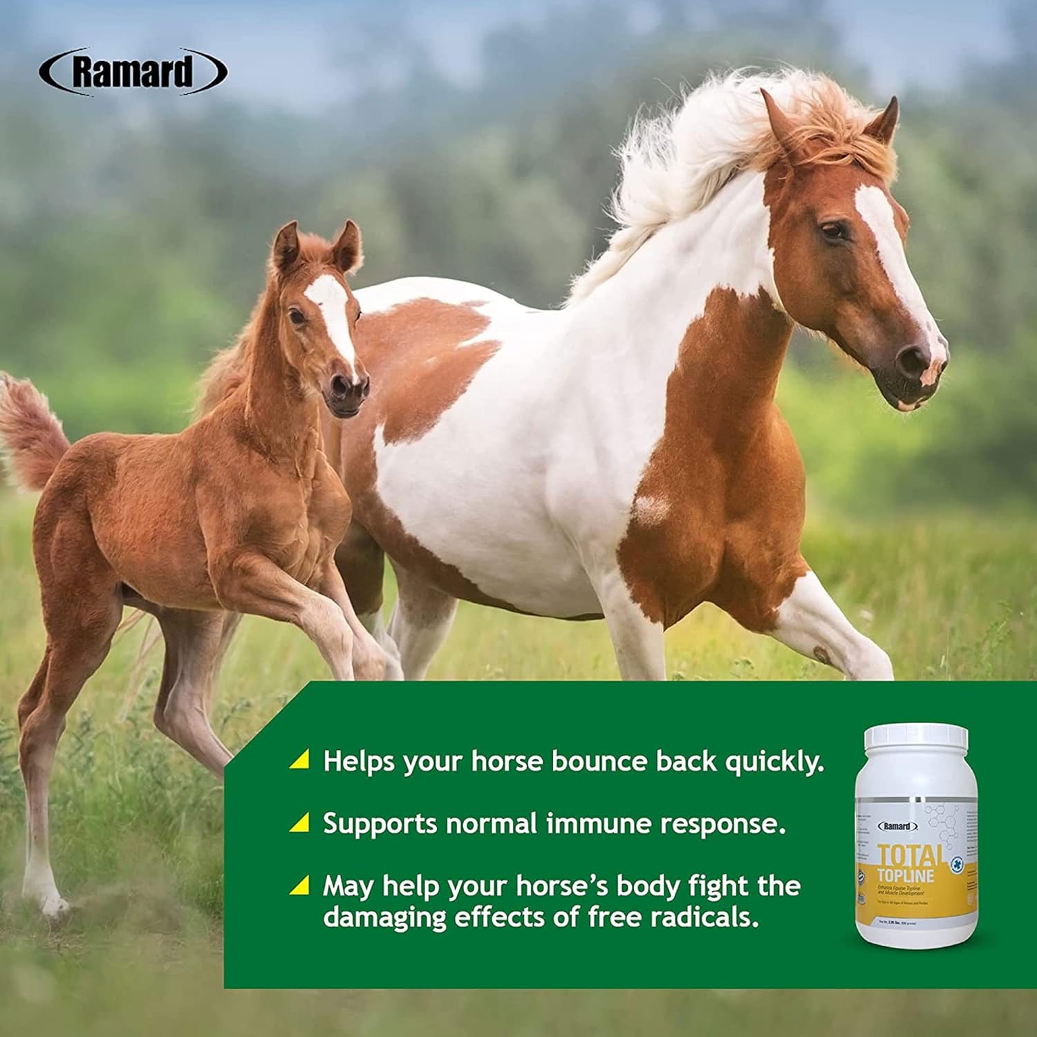 2lb Tub of Ramard Total Topline Powder Horse Supplement for Muscle Recovery & Growth - Protein & Amino Energy for Foals and Horses
