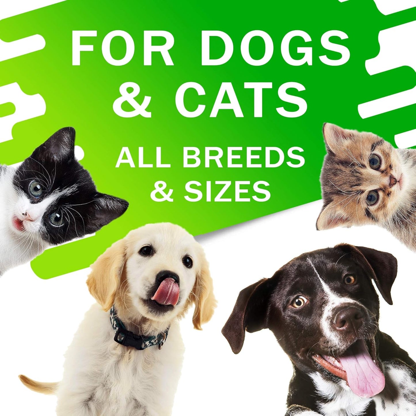 2oz Pet Herbal Remedy for Kennel Cough in Dogs and Cats - Throat Soother and Respiratory Support - Homeopathic Treatment for Pet Cough, Asthma, and Sinus Congestion - Made in USA