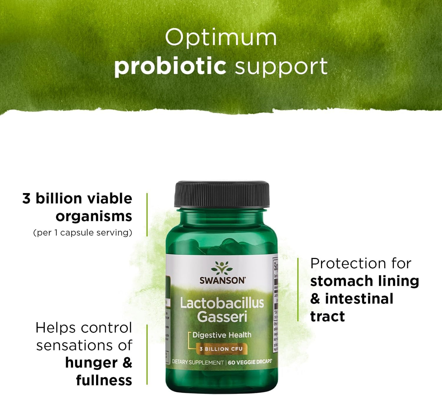 3 Bottles of Swanson Lactobacillus Gasseri Probiotic Supplement - 60 Veggie Capsules Each - Supports Digestive Health, Satiety, and Fat Metabolism with 3 Billion CFU