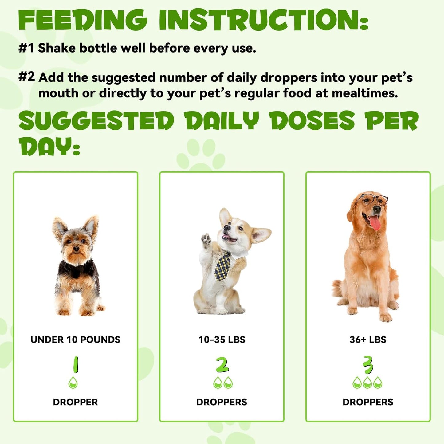 3-in-1 Bacon Flavored Dog Probiotic Drops for Diarrhea Relief, Gut Health, and Immunity Support - 60ml
