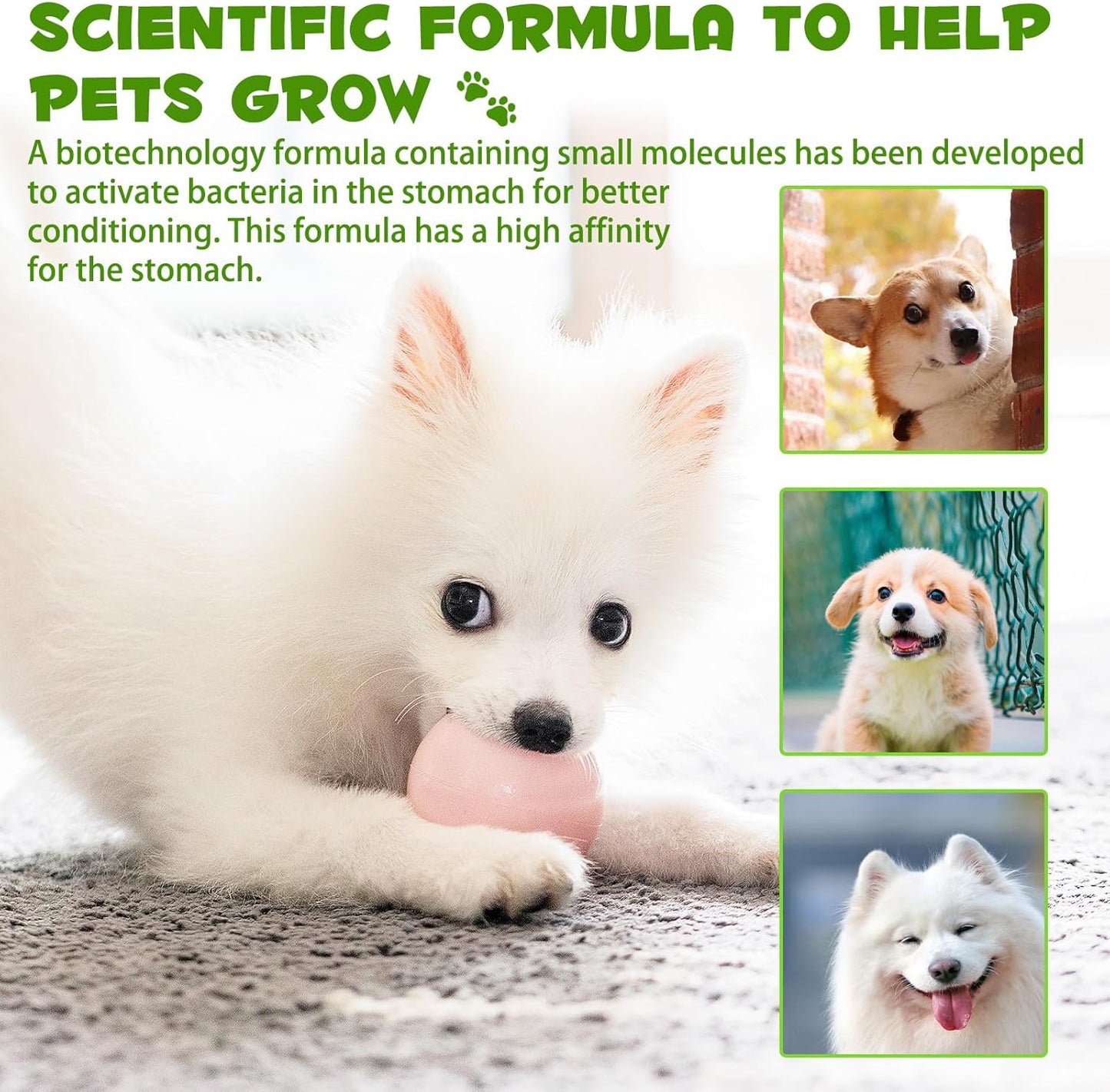 3-in-1 Bacon Flavored Dog Probiotic Drops for Diarrhea Relief, Gut Health, and Immunity Support - 60ml