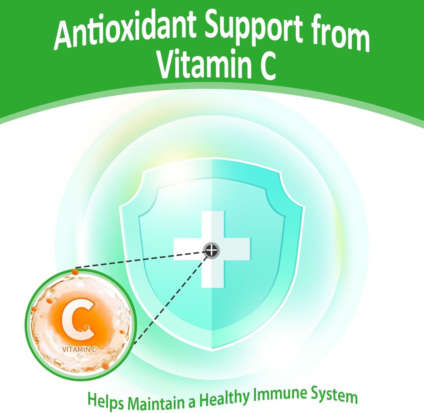 3-in-1 Garcinia Cambogia Liquid Drops with Green Coffee Bean & Vitamin C - Raspberry Flavor - 2 fl oz