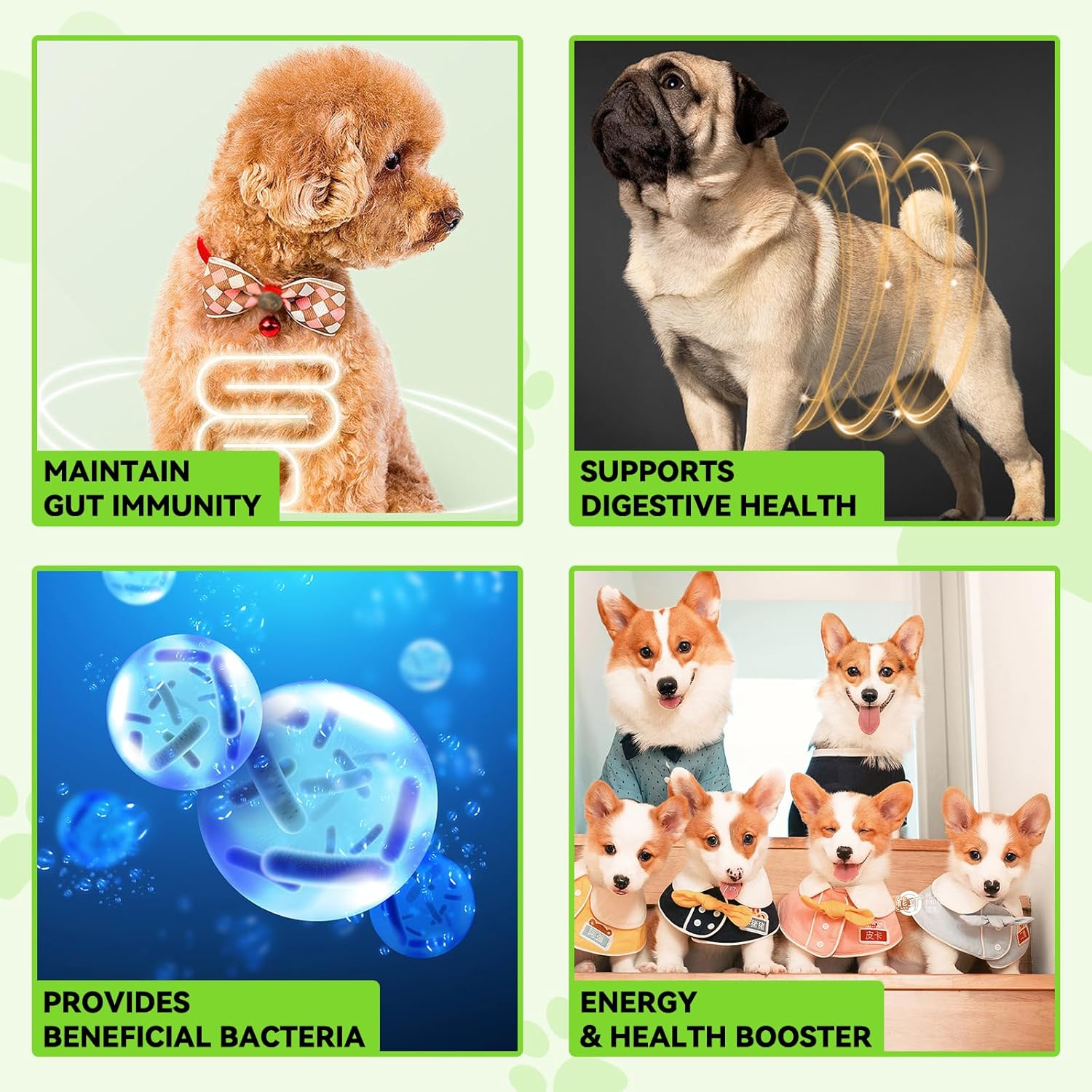 3-in-1 Pet Probiotic Supplement for Dogs | 2 Oz Liquid Dog Probiotics for Digestive Support