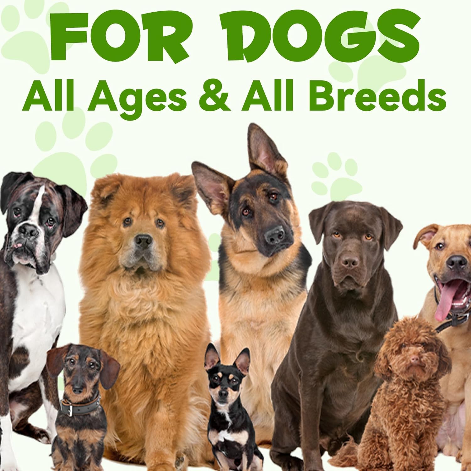 3-in-1 Pet Probiotic Supplement for Dogs | 2 Oz Liquid Dog Probiotics for Digestive Support