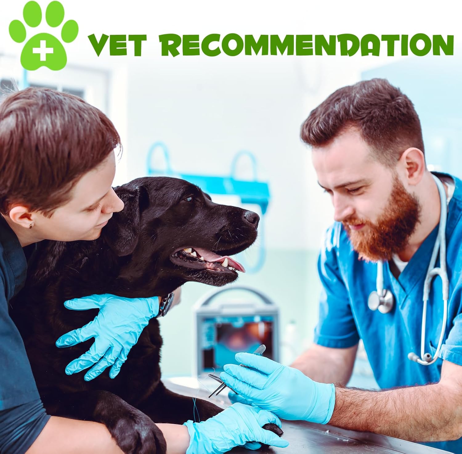 3-in-1 Pet Probiotic Supplement for Dogs | 2 Oz Liquid Dog Probiotics for Digestive Support