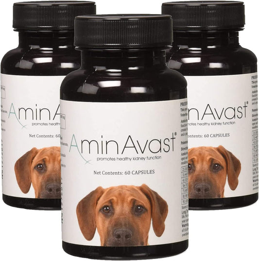 3-Pack AminAvast Kidney Support Supplement for Dogs - Promotes Natural Kidney Function - Aids Aging Kidneys - 60 Sprinkle Capsules