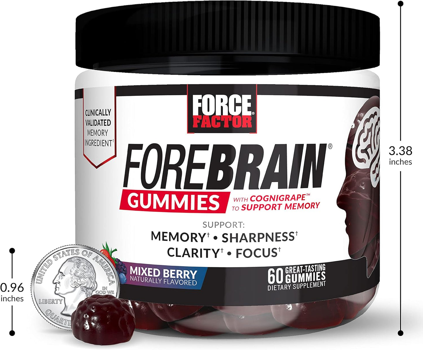 3-Pack FORCE FACTOR Forebrain Gummies: Nootropic Brain Support Supplement with COGNIGRAPE & Huperzine A for Memory, Focus, Recall & Sharpness