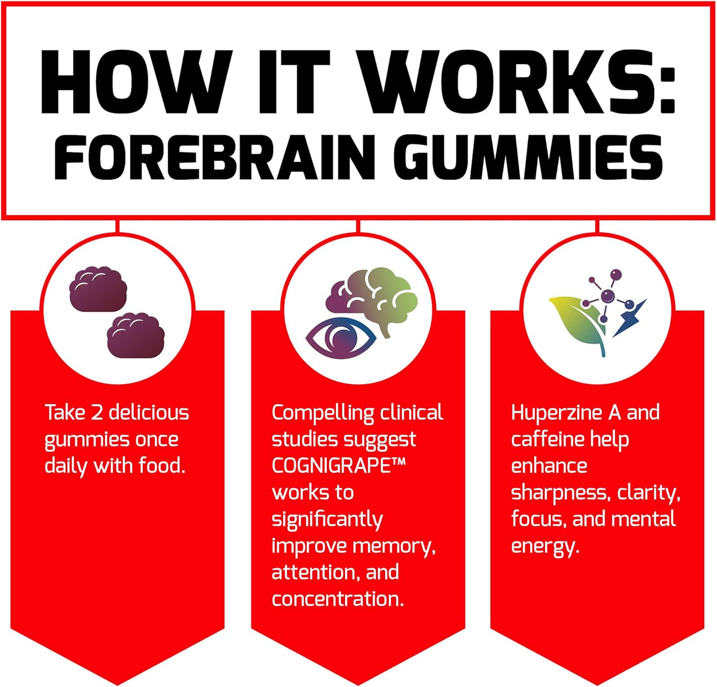 3-Pack FORCE FACTOR Forebrain Gummies: Nootropic Brain Support Supplement with COGNIGRAPE & Huperzine A for Memory, Focus, Recall & Sharpness