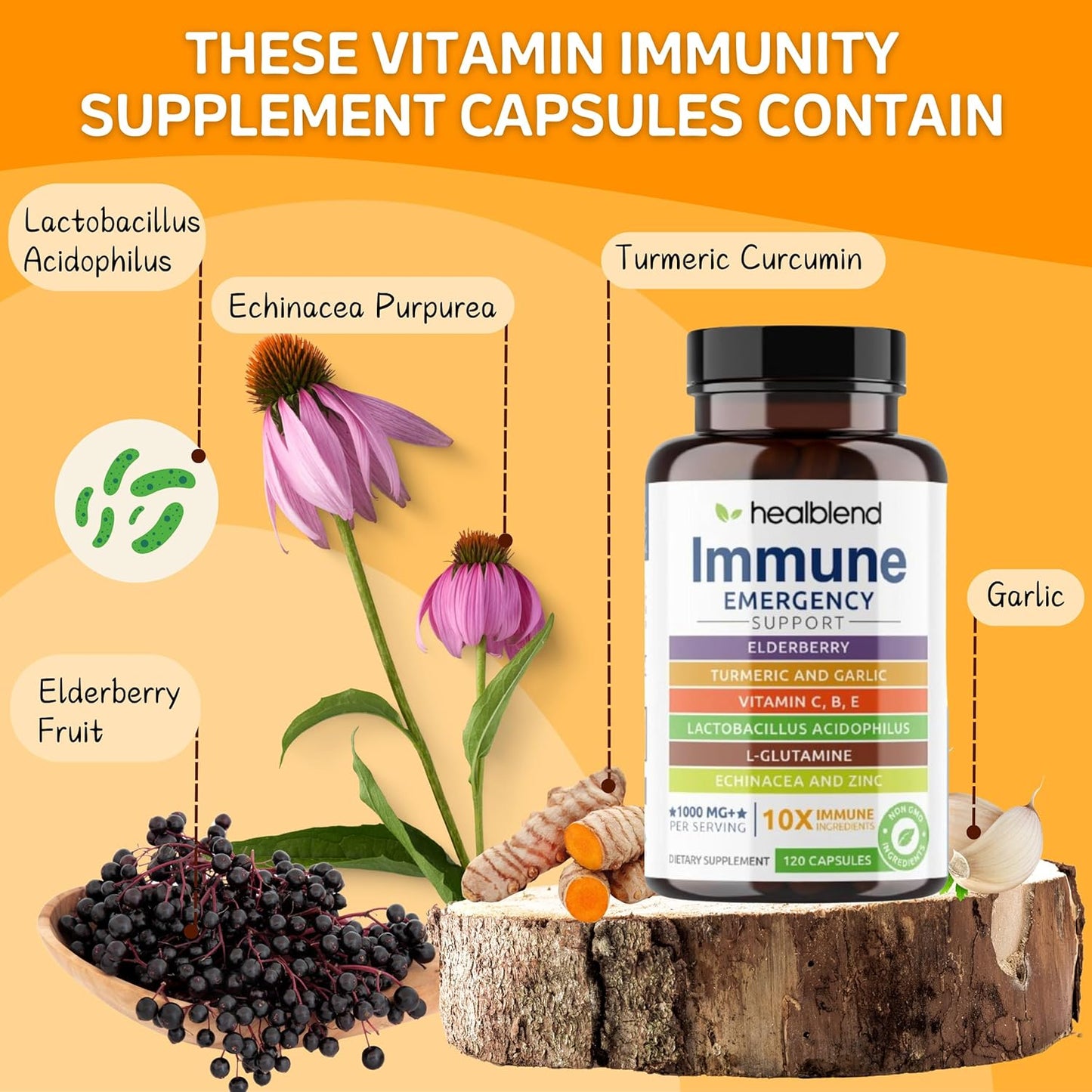 3 Pack of Healblend Immune Support Supplement with Elderberry, Zinc, Echinacea, Turmeric, and Probiotics for Adults