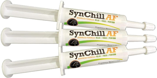 3 Pack of SynNutra Equine SynChill AF Calming Gel - Single Serving for Nervous Horses - Advanced Formula with L-Theanine for Confidence & Disposition Support