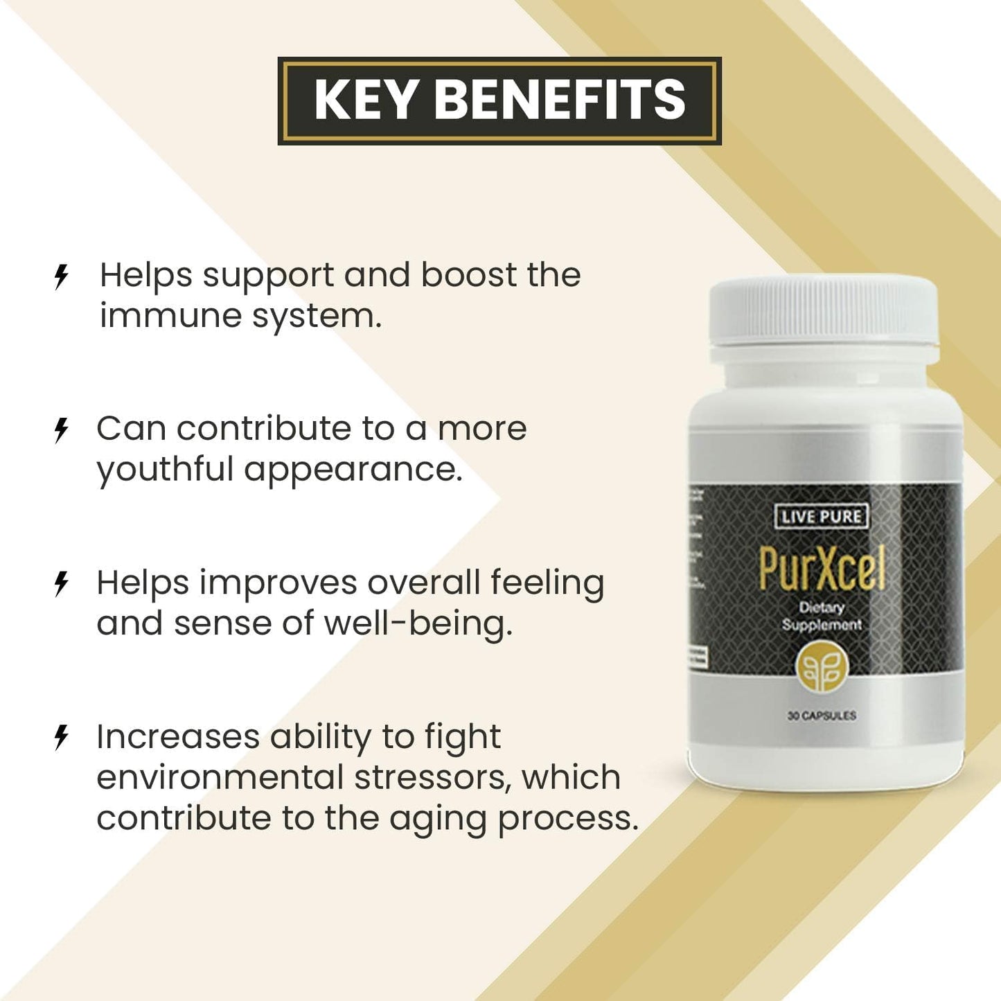 30 Capsules of Pure PurXcel Antioxidant Supplement with Glutathione & Superoxide Dismutase for Skin, Joints & Cleansing