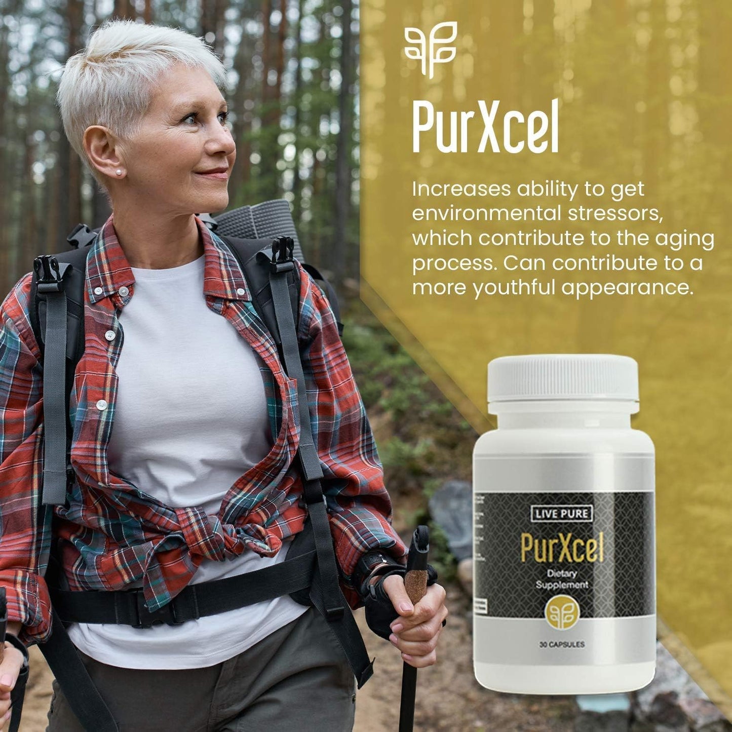 30 Capsules of Pure PurXcel Antioxidant Supplement with Glutathione & Superoxide Dismutase for Skin, Joints & Cleansing