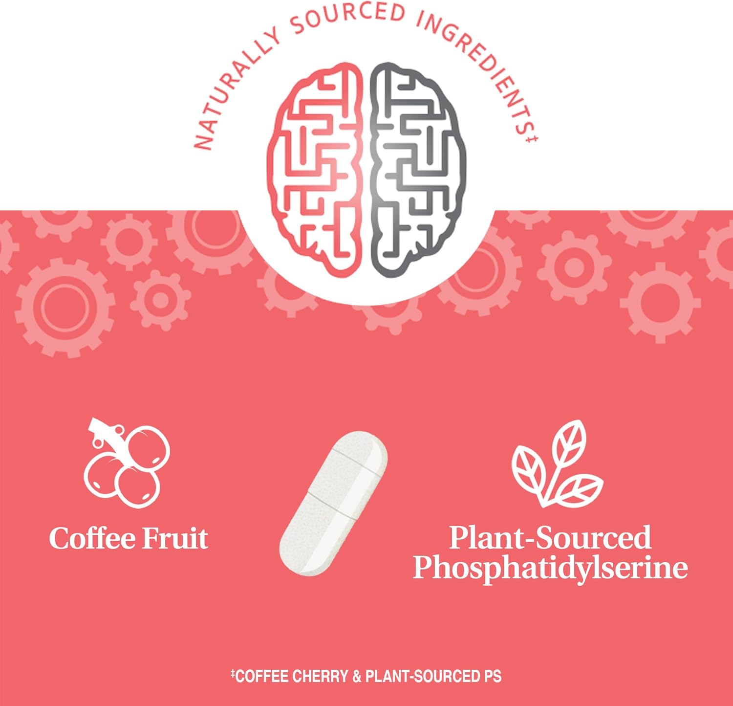 30 Count Brain Performance Supplement for Enhanced Cognitive Function in the 21st Century
