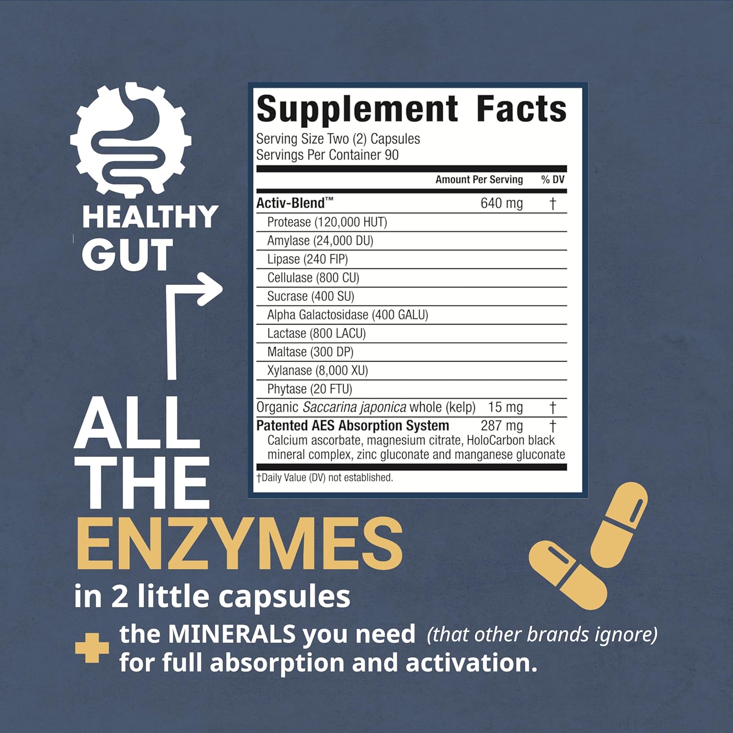 30 Day Leaky Gut Bundle: Tributyrin-X, Holozyme, and Holoimmune for a Healthy Gut