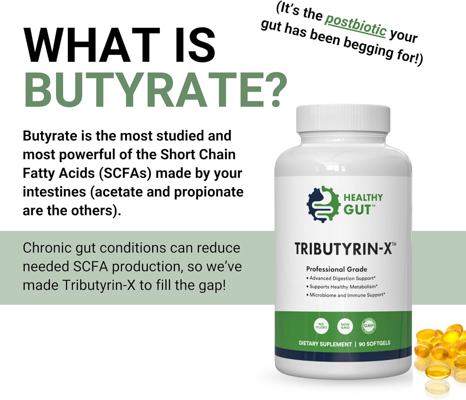 30 Day Leaky Gut Bundle: Tributyrin-X, Holozyme, and Holoimmune for a Healthy Gut