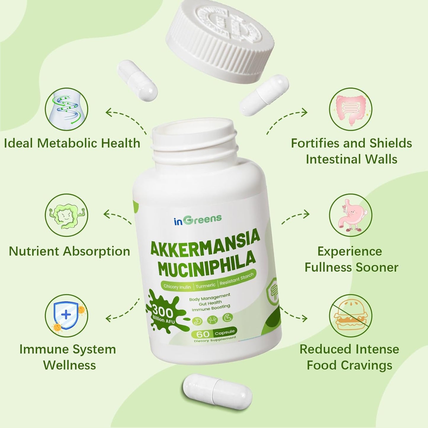 30 Day Supply of inGreens Akkermansia Muciniphila Probiotic with Chicory Inulin, Turmeric, Resistant Starch - Vegan & Gluten Free Gut Management Supplement