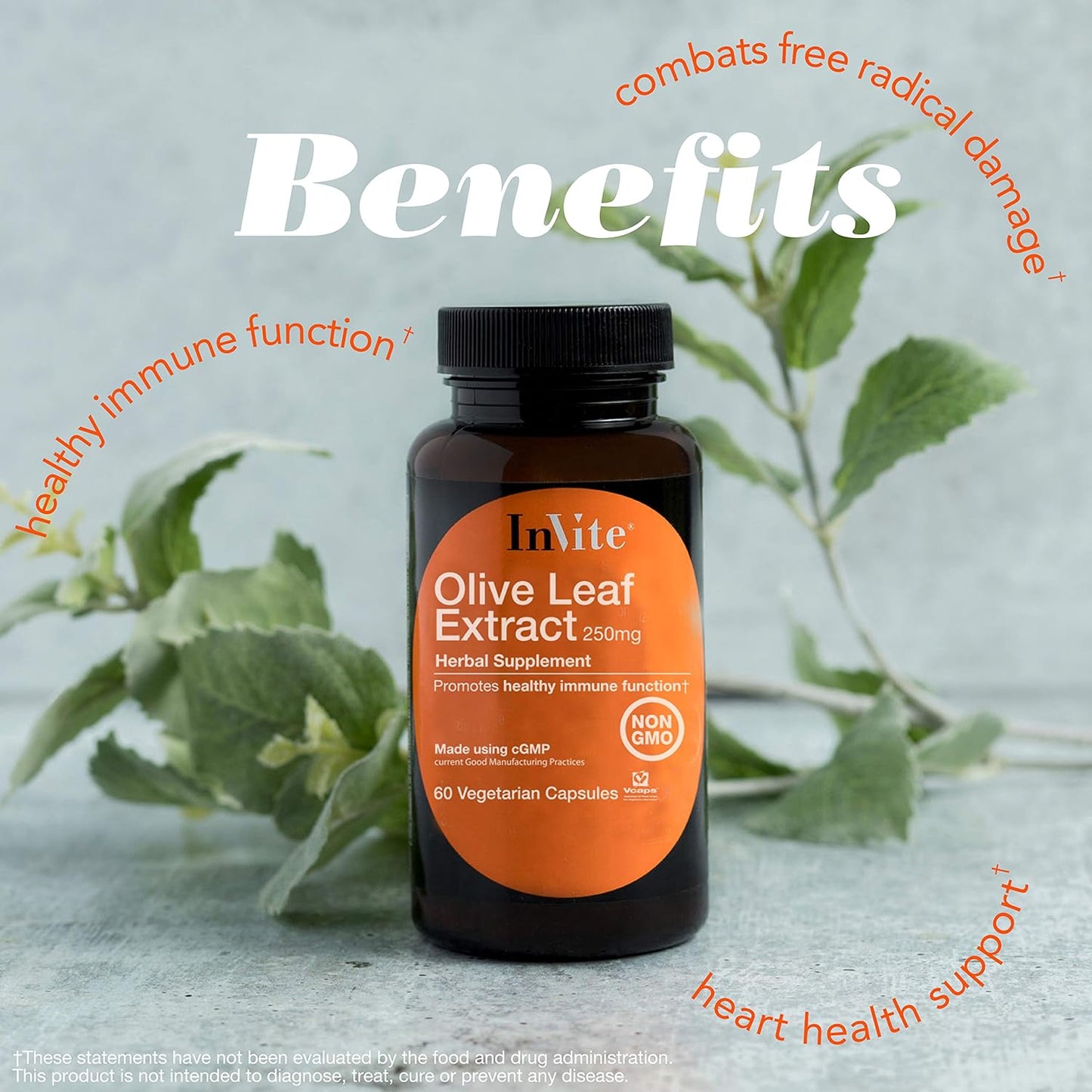30-Day Supply of Invite Health Olive Leaf Extract Capsules for Immune System Support - 60 Vegetarian Capsules