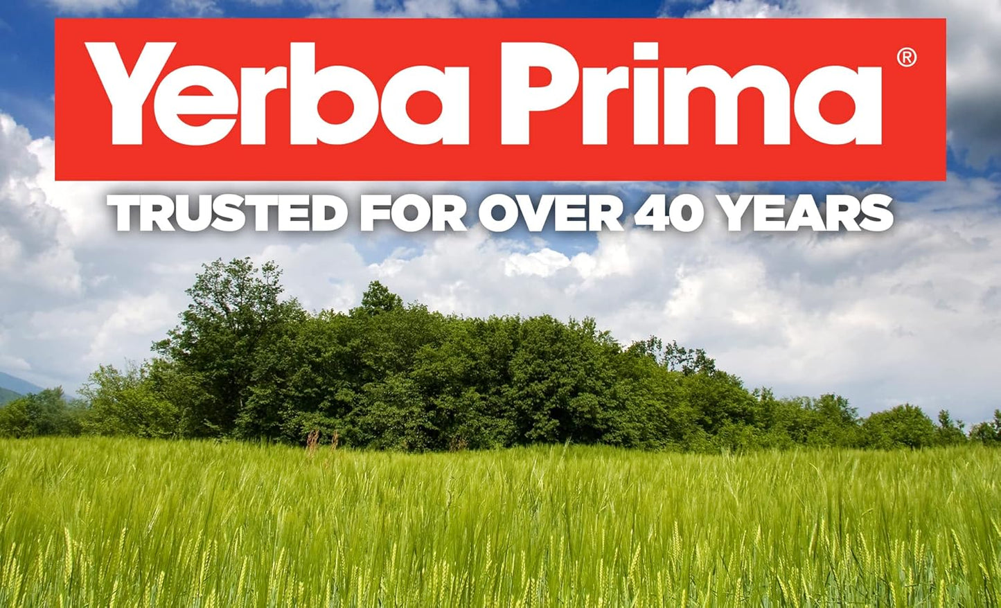 30-Day Yerba Prima Men's Rebuild Cleansing Program with Bentonite Clay & Psyllium for Gentle Whole Body Cleanse & Regularity