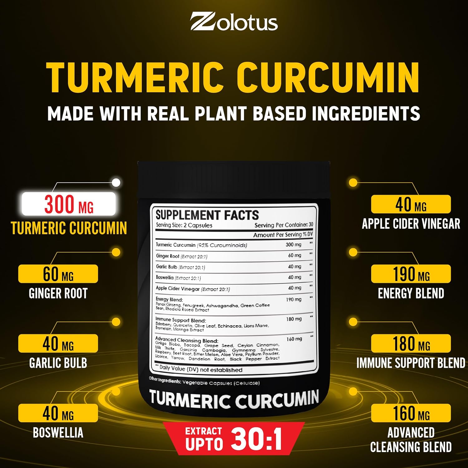 30-in-1 Turmeric Curcumin Capsules with Ginger, Ginseng, Garlic, Bromelain, Moringa, Black Pepper - 60 Capsules for Joint Support & Absorption