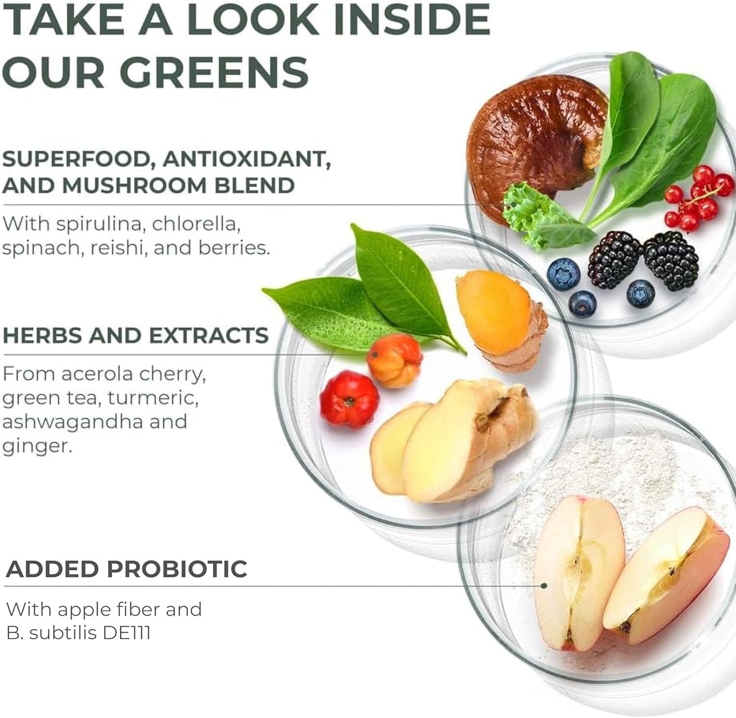 30 Servings Primal Harvest Super Greens Powder with +50 Greens Superfood, Chlorella, Probiotics, Green Tea, Wheatgrass, Kale, and Turmeric for Energy Boost