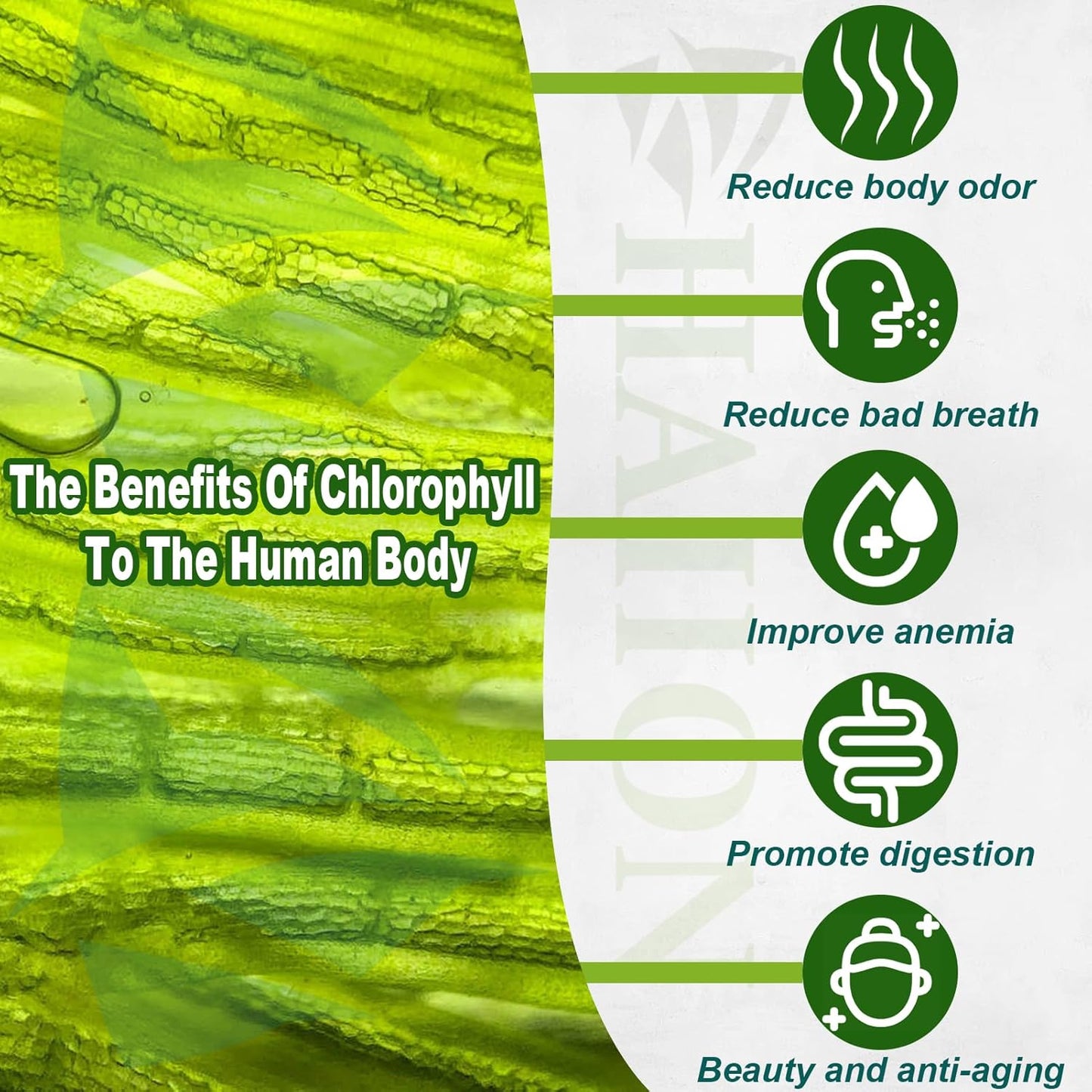 30 Vegan Chlorophyll Capsules for Body Deodorizing and Freshness, Internal Deodorant Supplement for Gut Health and Digestion Support