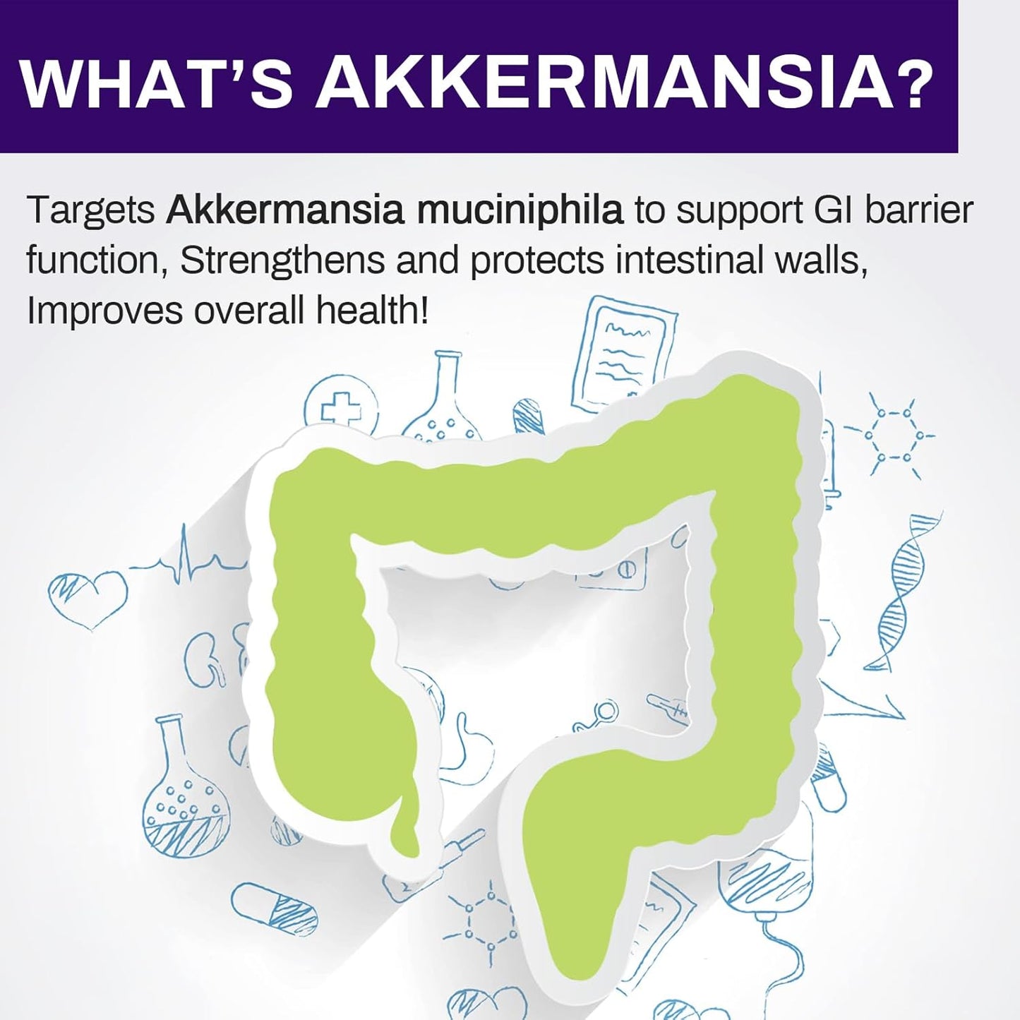 300 Billion AFU Akkermansia Probiotic for Gut Health - GLP-1 Supplement for Women & Men, Supports Digestion and Immune System, 120 Capsules