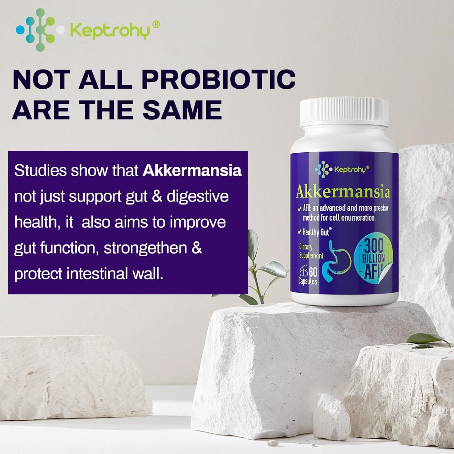 300 Billion AFU Akkermansia Probiotic for Gut Health - GLP-1 Supplement for Women & Men, Supports Digestion and Immune System, 120 Capsules