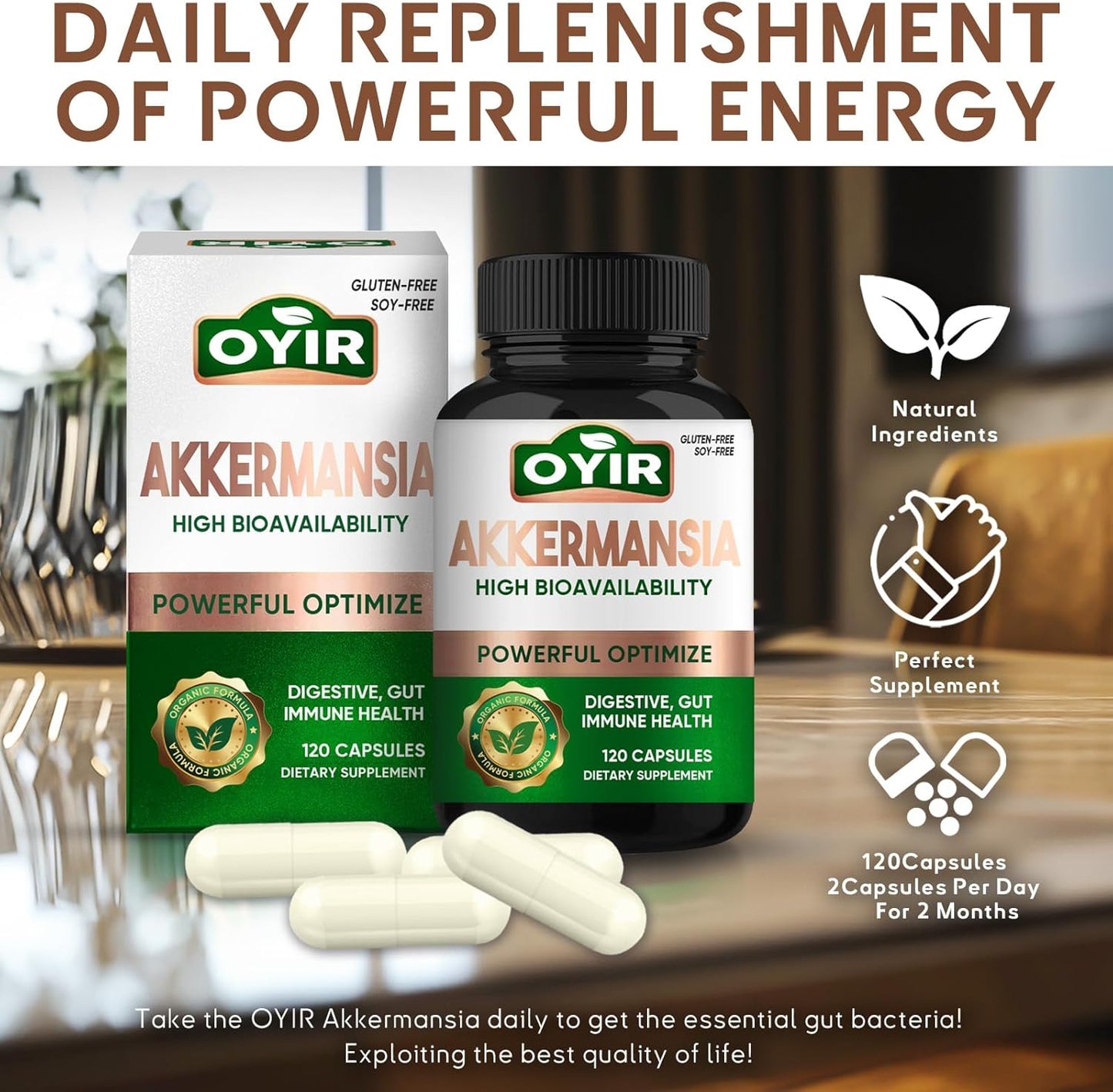 300 Billion AFU Akkermansia Probiotic Supplement for Digestive & Immune Support - GLP-1 Probiotic for Gut Health - Men & Women's Overall Wellness Boost