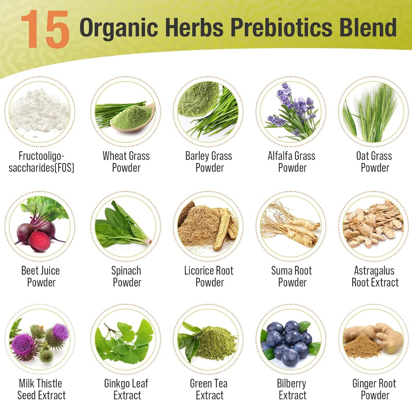 300 Billion CFU Probiotic Supplement with 22 Strains + 15 Organic Herbs for Digestive Health - 60 Capsules