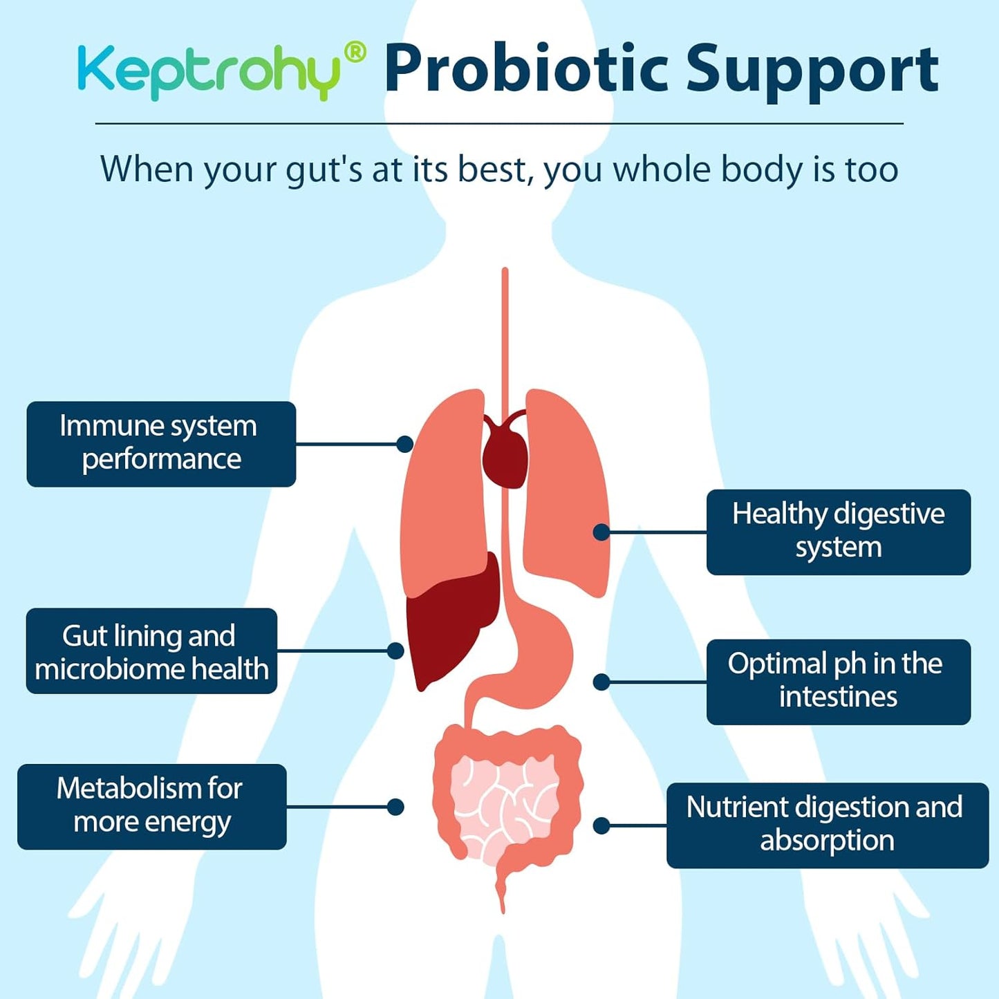 300 Billion CFU Probiotics for Gut Health, 12 Strain Probiotic Supplement with Prebiotics, Organic Blend for Men & Women, 180 Capsules