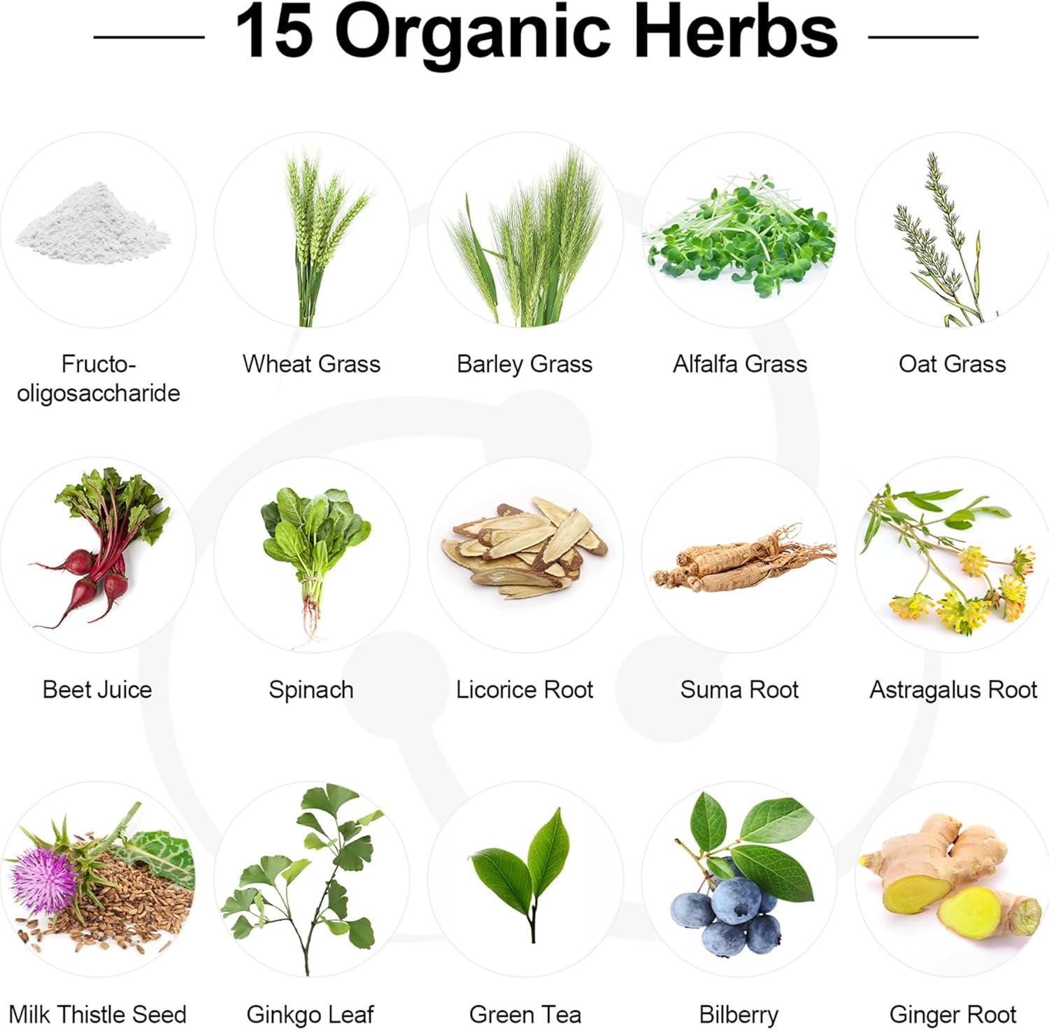 300 Billion CFU Probiotics + Prebiotics for Gut Health - 24 Strains, 15 Organic Herbs - Women & Men, Immune Support - 6 Month Supply