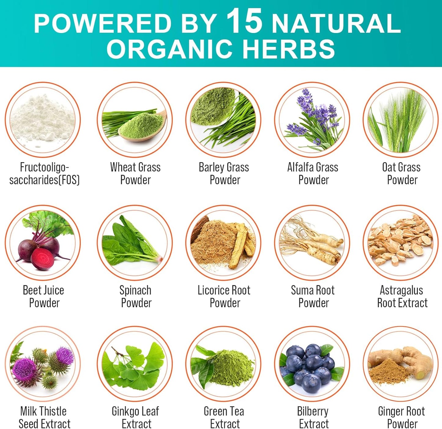 300 Billion CFU Probiotics with 24 Strains and 15 Organic Herbs - Digestive Gut Health for Women & Men - Immune Support - Constipation & Bloating Relief - 2 Month Supply