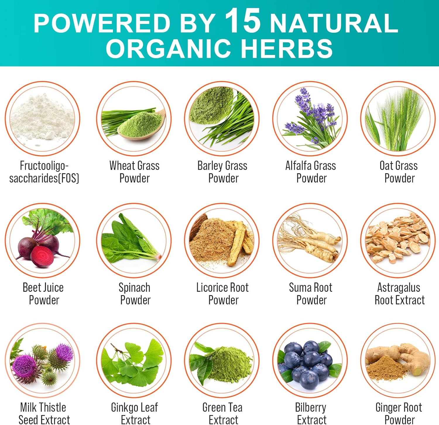 300 Billion CFU Probiotics with 24 Strains and 15 Organic Herbs - Digestive Gut Health for Women & Men - Immune Support - Constipation & Bloating Relief - 2 Month Supply