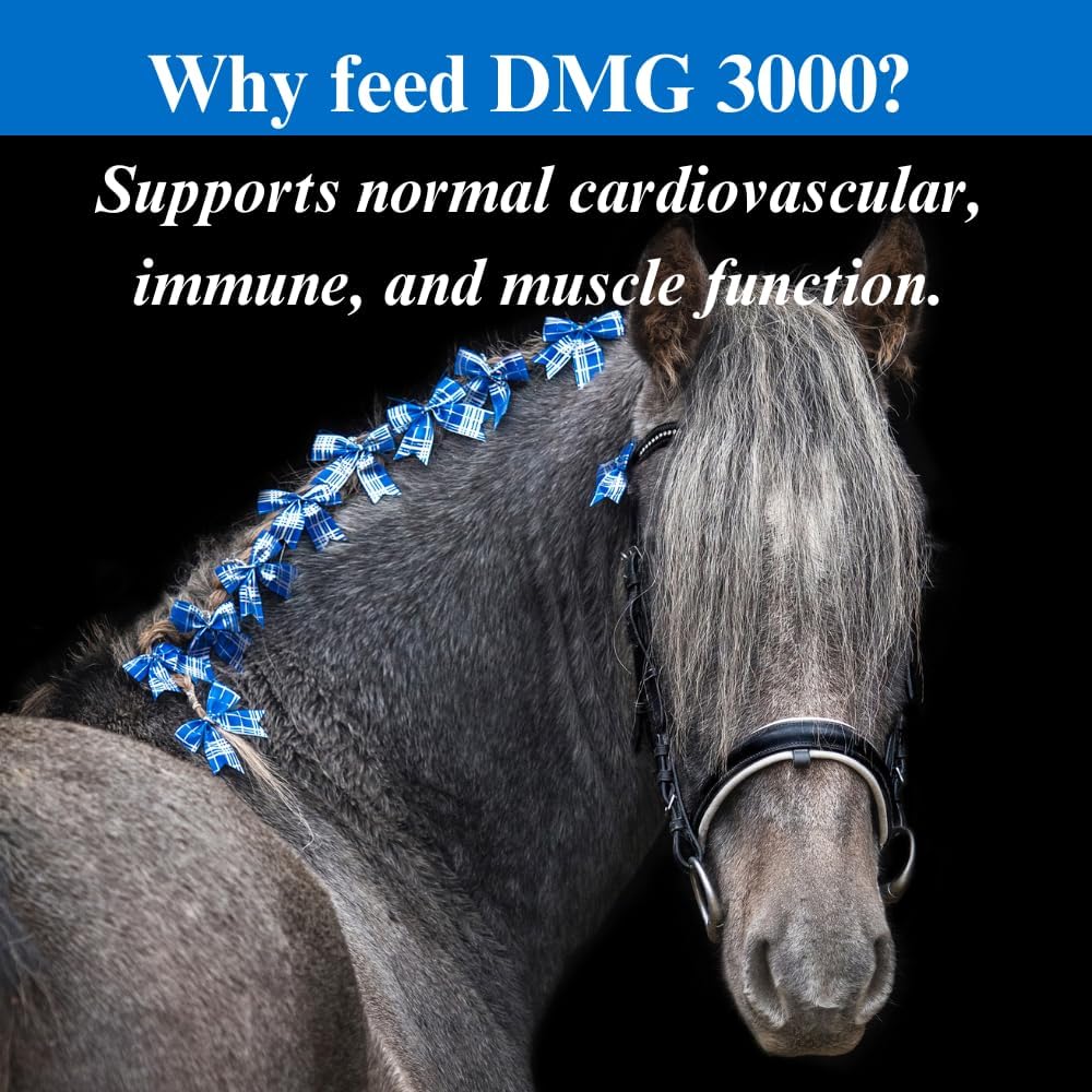 3000 Horse Supplement Powder for Training & Performance - Supports Cardiovascular, Immune & Muscle Function - 12.5lbs, 6 Month Supply