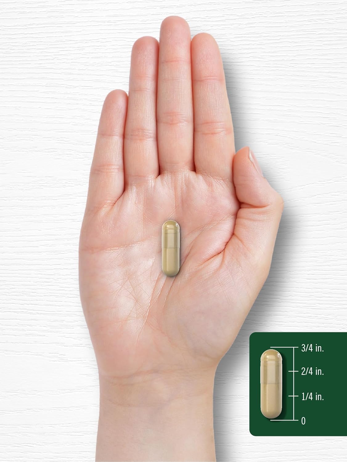 3000mg Carlyle Shiitake Mushroom Extract Capsules - 200 Count | Non-GMO, Gluten Free