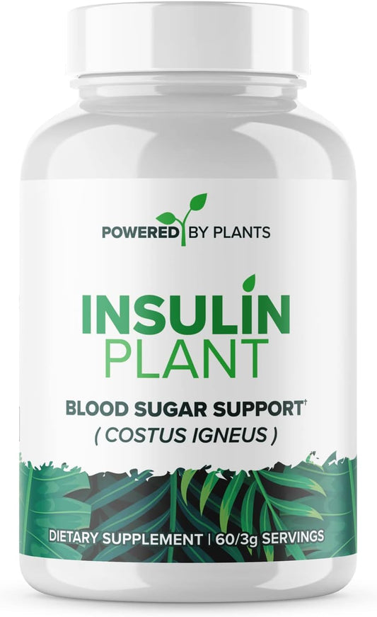 3000mg Costus Igneus Leaf Powder Capsules by Powered X Plants - Vegan Non GMO Insulin Plant Supplements - Gluten Free - 240 Capsules for Women & Men