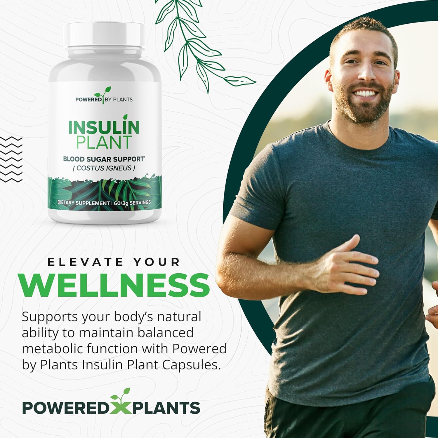 3000mg Costus Igneus Leaf Powder Capsules by Powered X Plants - Vegan Non GMO Insulin Plant Supplements - Gluten Free - 240 Capsules for Women & Men