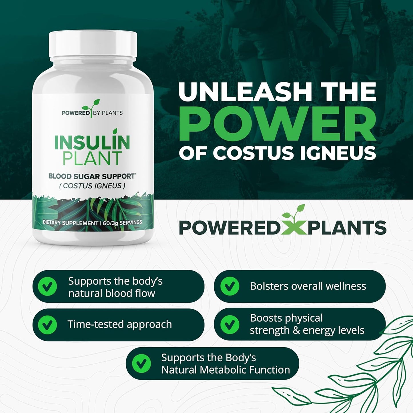 3000mg Costus Igneus Leaf Powder Capsules by Powered X Plants - Vegan Non GMO Insulin Plant Supplements - Gluten Free - 240 Capsules for Women & Men