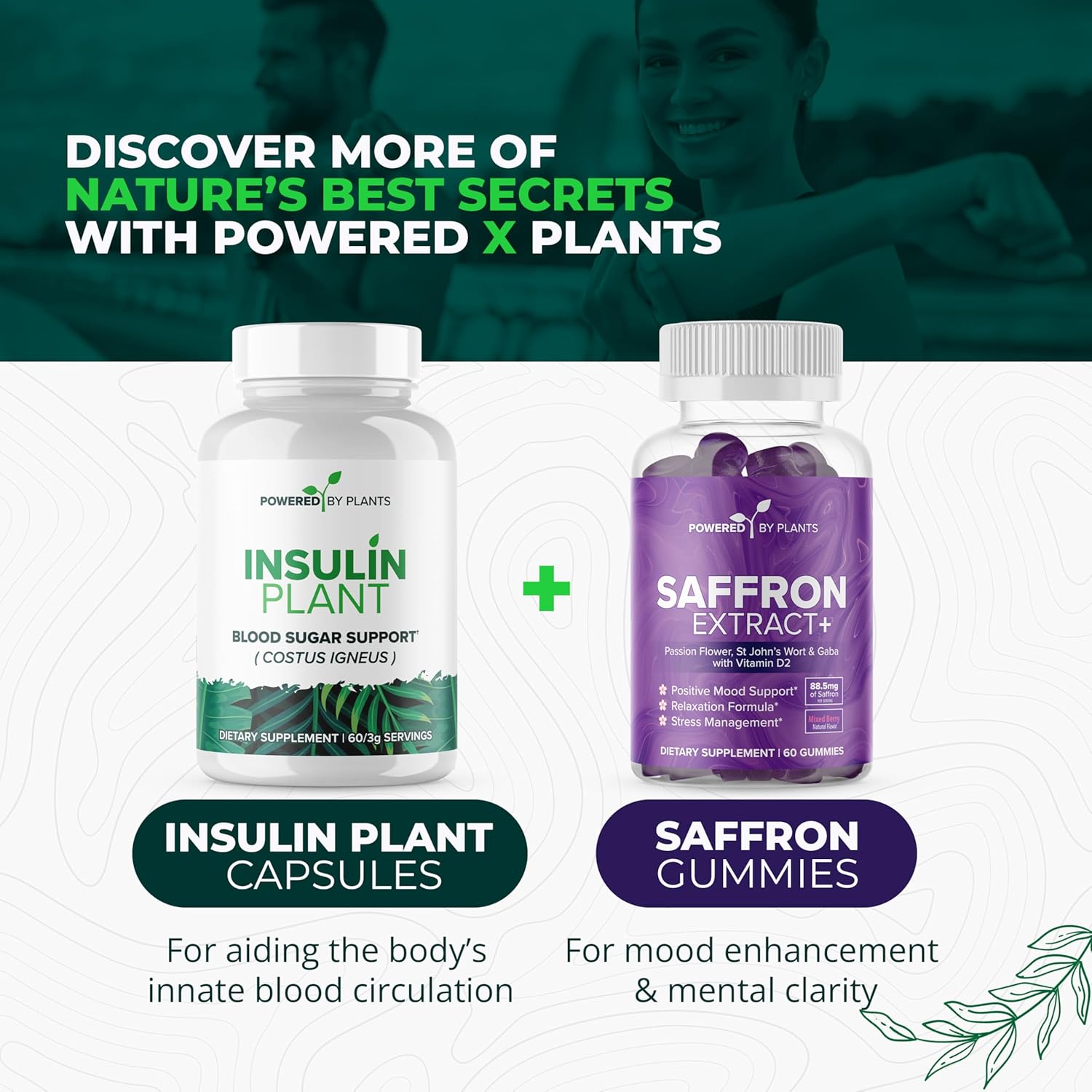 3000mg Costus Igneus Leaf Powder Capsules by Powered X Plants - Vegan Non GMO Insulin Plant Supplements - Gluten Free - 240 Capsules for Women & Men