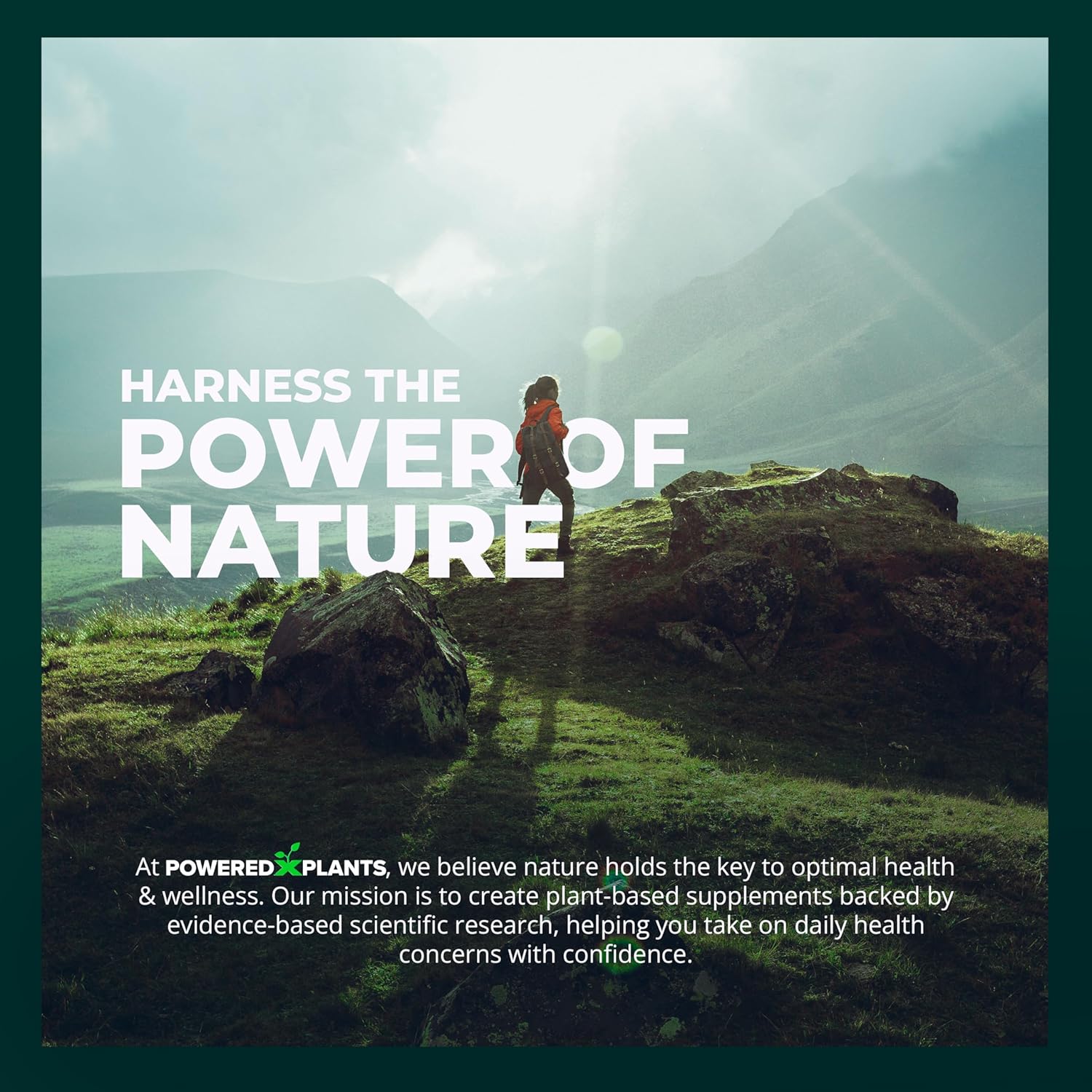 3000mg Costus Igneus Leaf Powder Capsules by Powered X Plants - Vegan Non GMO Insulin Plant Supplements - Gluten Free - 240 Capsules for Women & Men