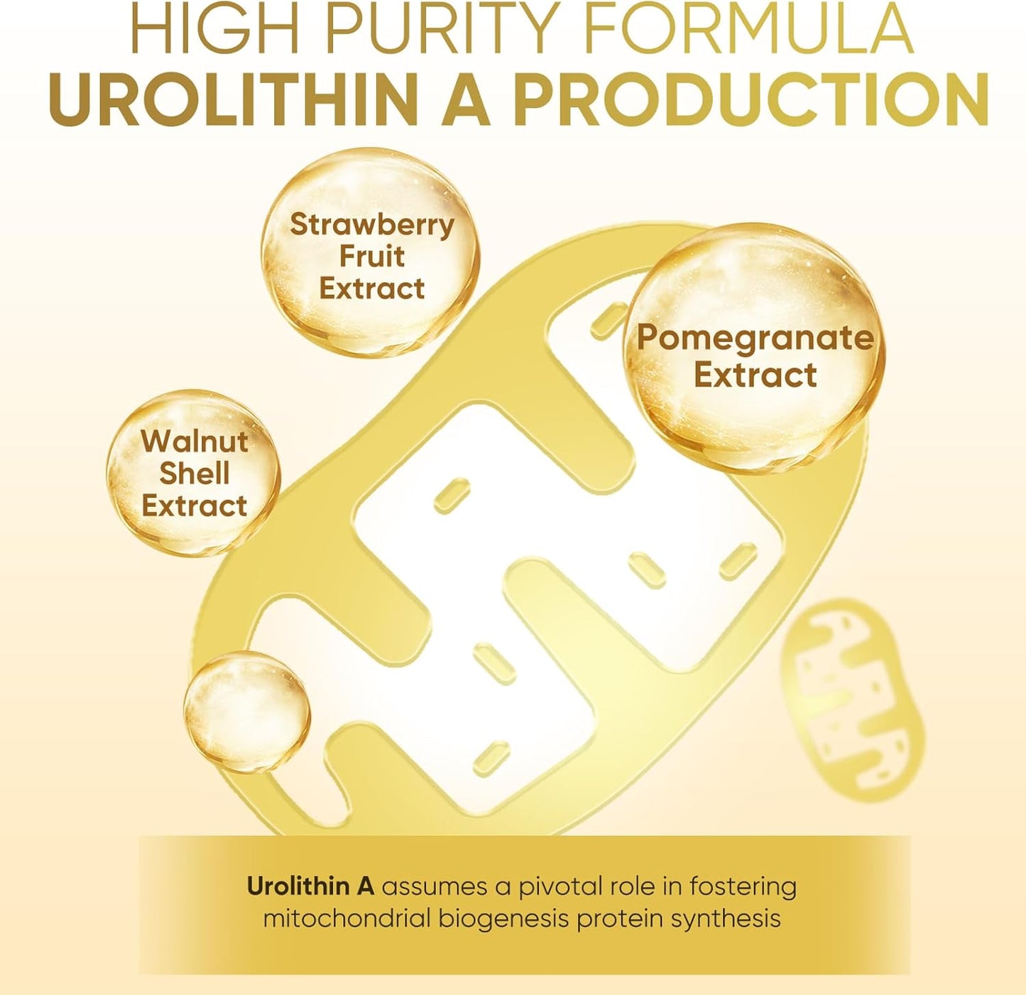 3000mg Urolithin A+ Capsules for Enhanced Strength - 120 Count, Made in USA - Advanced Cellular Health Support & Vitality Boost