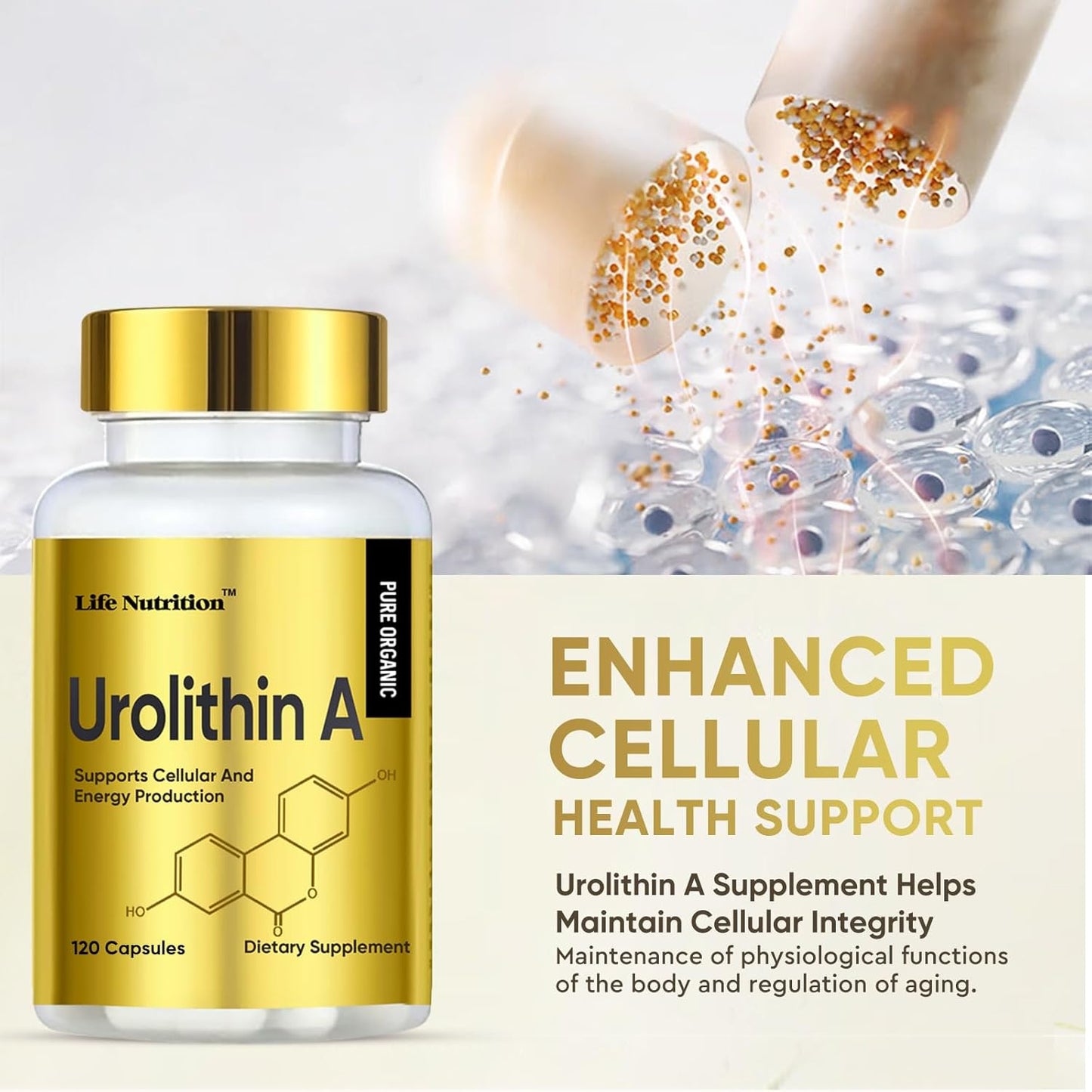 3000mg Urolithin A+ Capsules for Enhanced Strength - 120 Count, Made in USA - Advanced Cellular Health Support & Vitality Boost