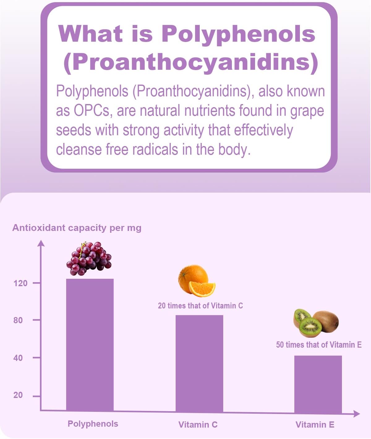 300mg Grape Seed Extract Liquid Supplement - Maximum Strength Tincture, 95% Polyphenols, Non-GMO - 60ml
