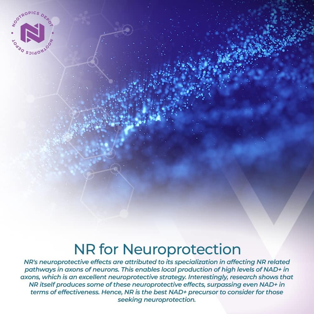 300mg Nicotinamide Riboside Capsules | NAD+ Precursor | Boosts Cellular Energy | 30 Count | Nootropics Depot