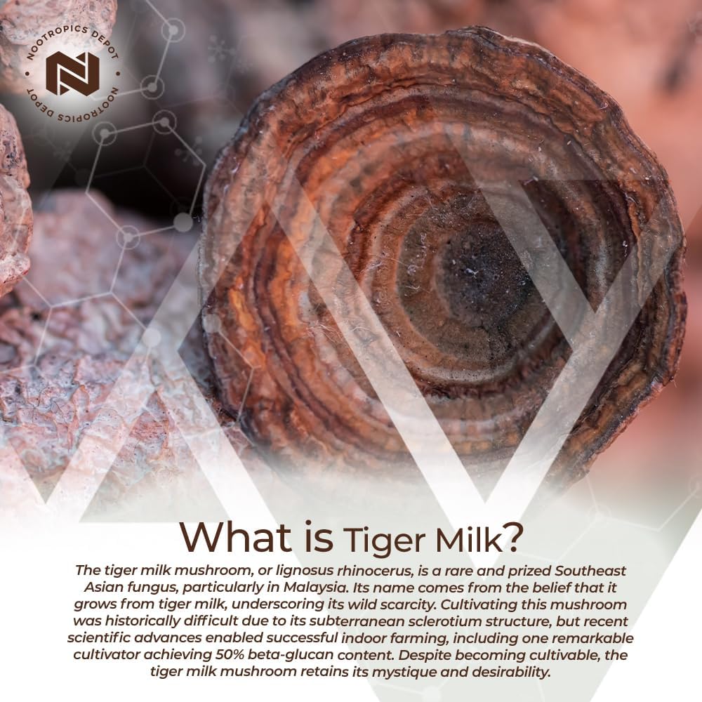 300mg Tiger Milk Mushroom Capsules | 60 Count | Lignosus rhinocerus Sclerotium | Cognitive, Histamine, & Respiratory Support